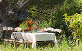 Table Cloth Bourdon